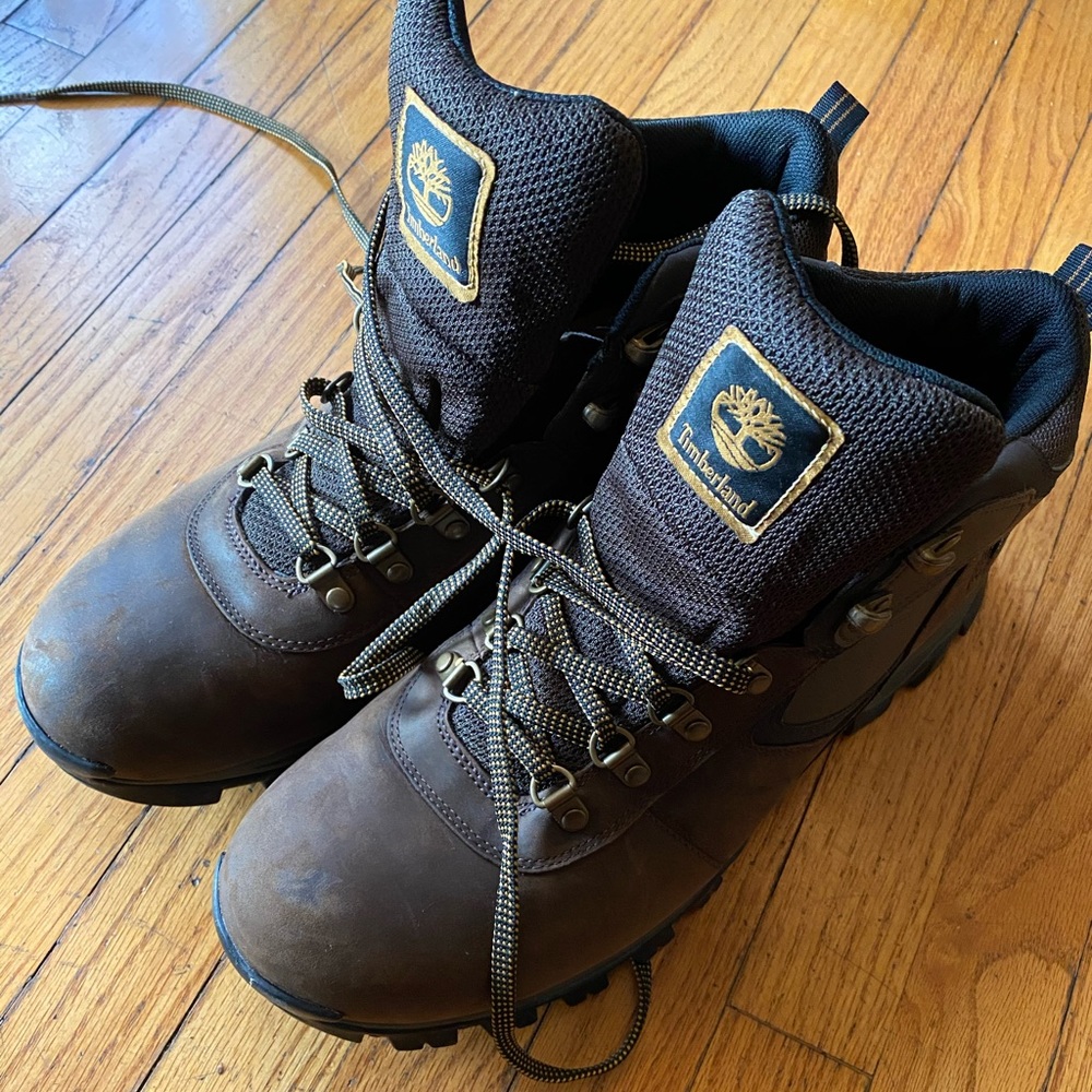 Men’s Timberland Mt Maddsen Hiker Boot in brown